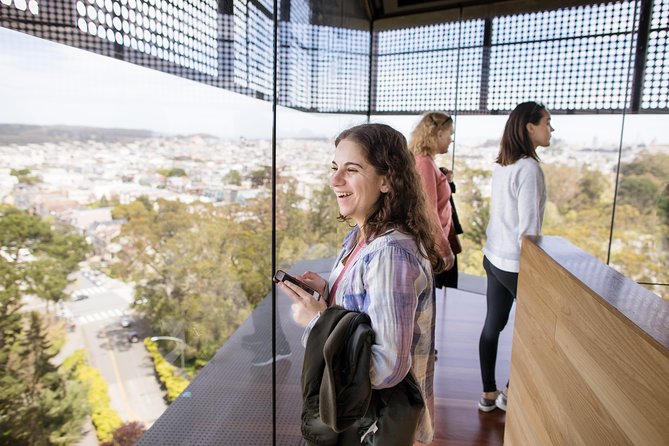de Young Museum General Admission Ticket - Why the de Young works well for a self-guided visit