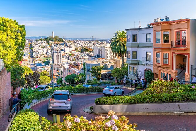 Express San Francisco Layover Tour w Airport Pickup and Dropoff - The Painted Ladies at Alamo Square
