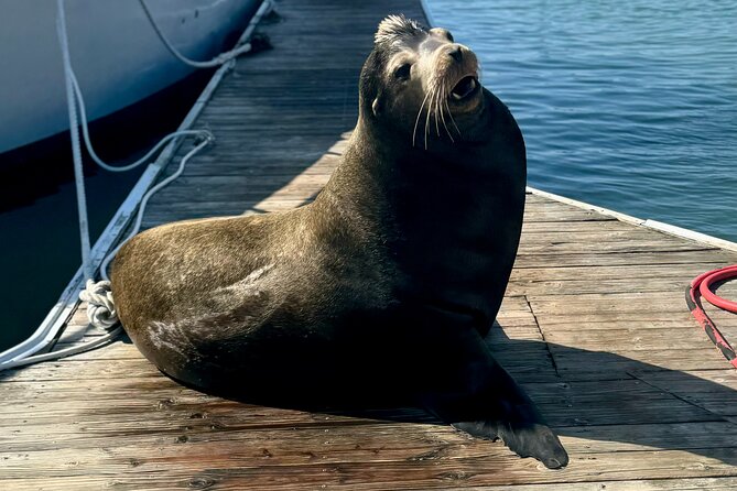 Fisherman’s Wharf & Pier 39 Food Tour - Includes Full Meal, 3 hrs - Seafood, chowder, and the working wharf