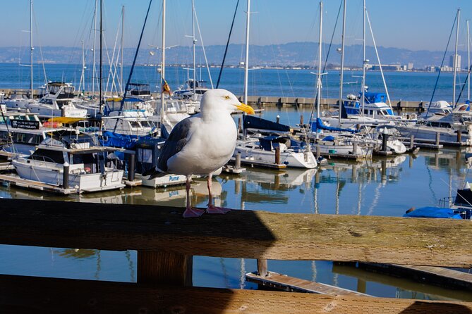 Fisherman’s Wharf & Pier 39 Food Tour - Includes Full Meal, 3 hrs - Pier 39 and the sea lions