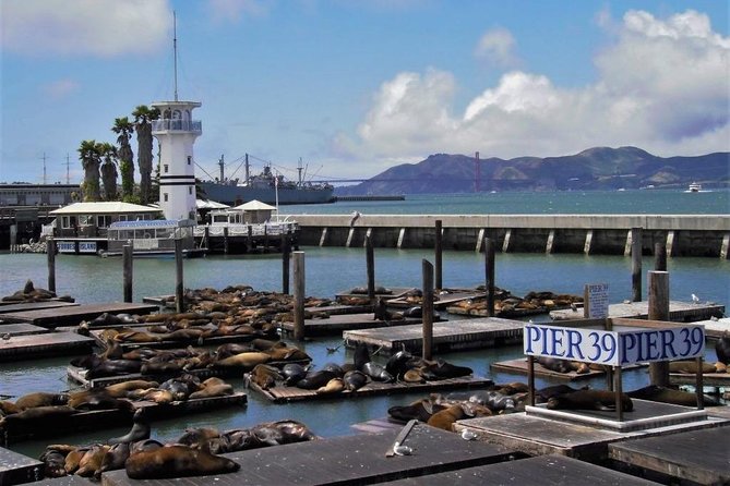 Fisherman's Wharf Walking Tour - Key points before you book