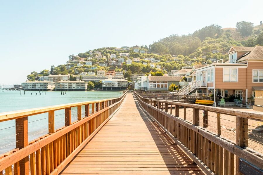 From San Francisco: Alcatraz Night & Muir Woods & Sausalito - Muir Woods and its towering coastal redwoods