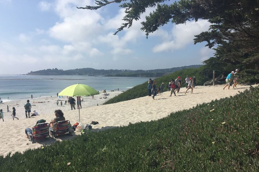 From San Francisco: Carmel, Monterey & Big Sur Private Tour - The guides make the long route easier