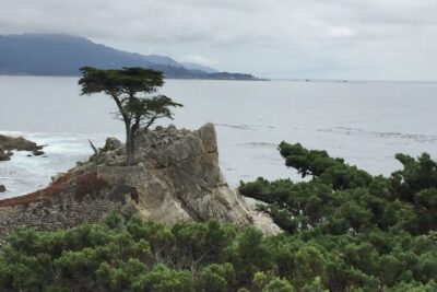 Carmel, Monterey & Big Sur Private Tour