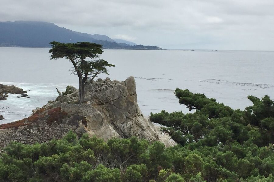 From San Francisco: Carmel, Monterey & Big Sur Private Tour - Starting in San Francisco and heading south
