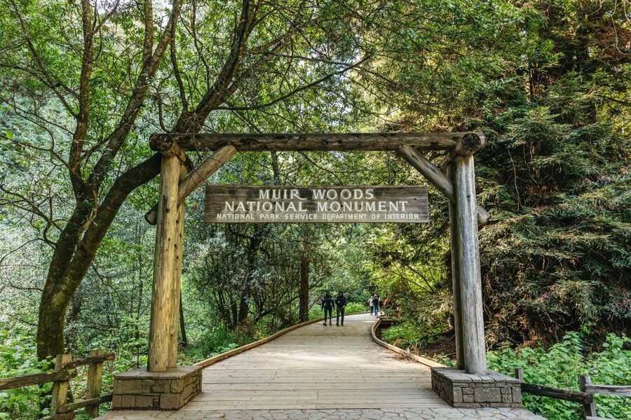 From San Francisco: Guided Muir Woods Tour - Key points to know before you go