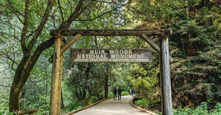 From San Francisco: Guided Muir Woods Tour - Why this Muir Woods trip works well from San Francisco
