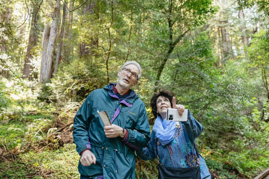 From San Francisco: Guided Muir Woods Tour - What the $84 price includes