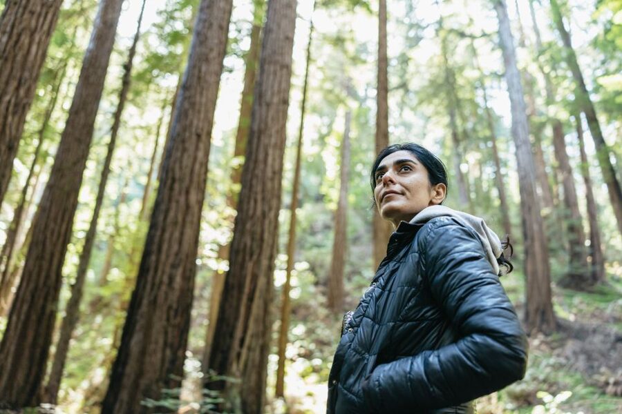 From San Francisco: Guided Muir Woods Tour - Crossing the Golden Gate Bridge