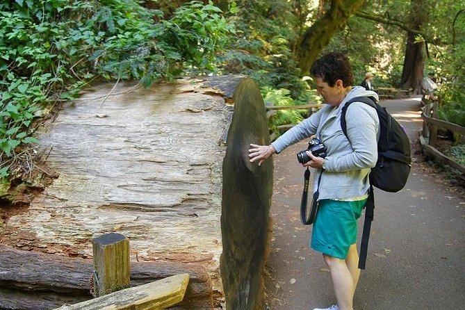 From San Francisco: Guided Tour to Muir Woods and Sausalito - Sausalito: pleasant stop or unnecessary detour?