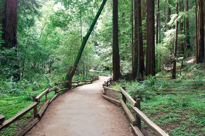 From San Francisco: Guided Tour to Muir Woods and Sausalito - Is $99 a fair price?