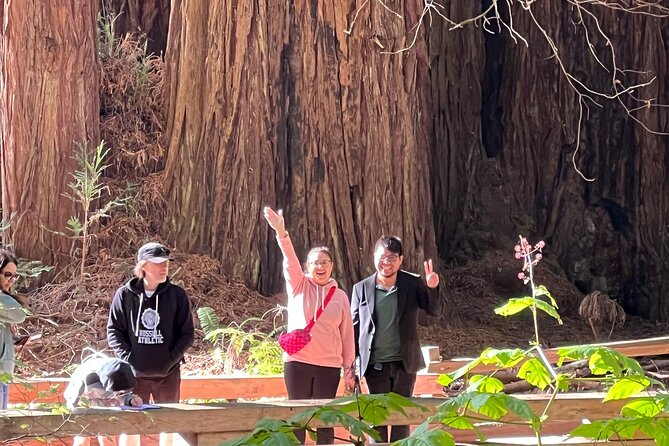 From San Francisco: Guided Tour to Muir Woods and Sausalito - Should you book it?