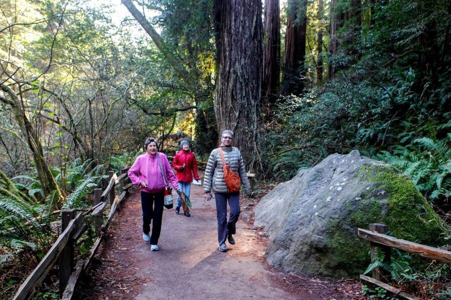 From San Francisco: Muir Woods & 3 Wineries in Napa & Sonoma - Three wineries across Napa and Sonoma