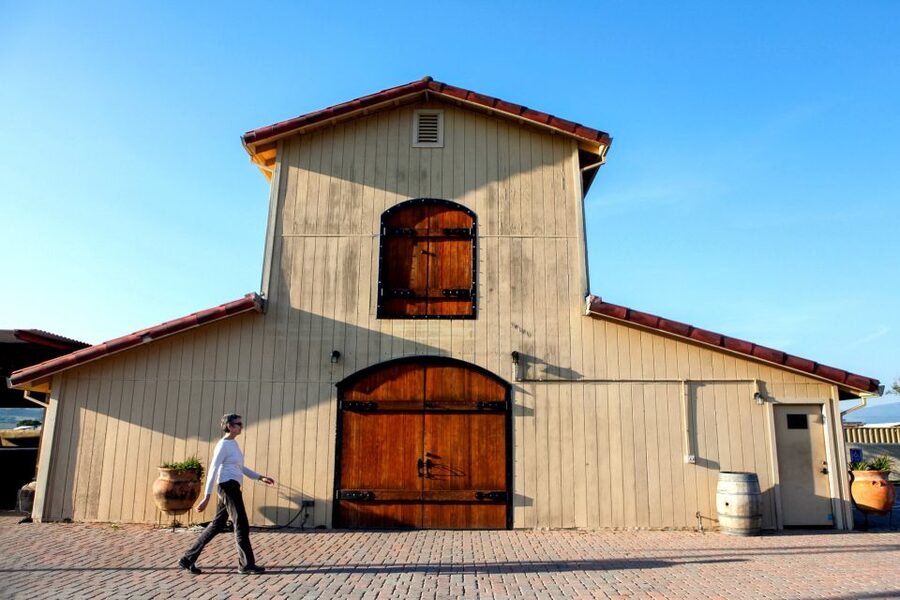 From San Francisco: Muir Woods & 3 Wineries in Napa & Sonoma - What the small group changes
