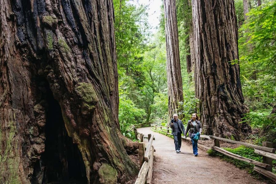 From San Francisco: Muir Woods, Sausalito and Alcatraz Tour - Why this combination works so well