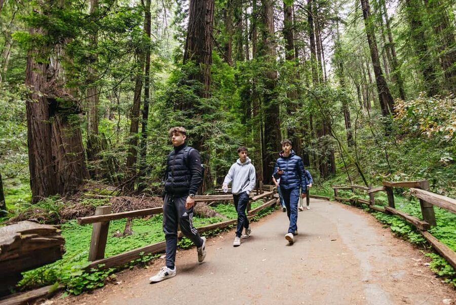 From San Francisco: Muir Woods, Sausalito and Alcatraz Tour - Muir Woods and 90 minutes under the redwoods