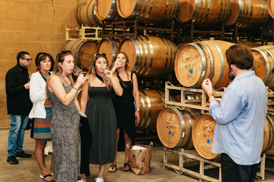 From San Francisco: Napa & Sonoma Valley Full-Day Wine Tour - How the tastings work for beginners and regular wine drinkers