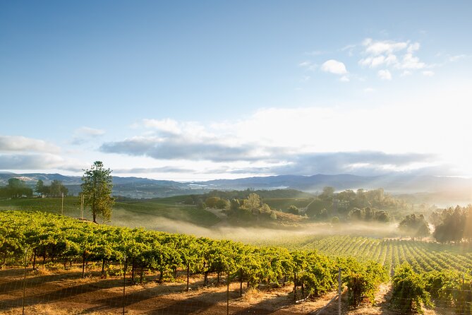 From San Francisco: Napa & Sonoma Valley Wine Tour with Tastings - Leaving San Francisco over the Golden Gate Bridge