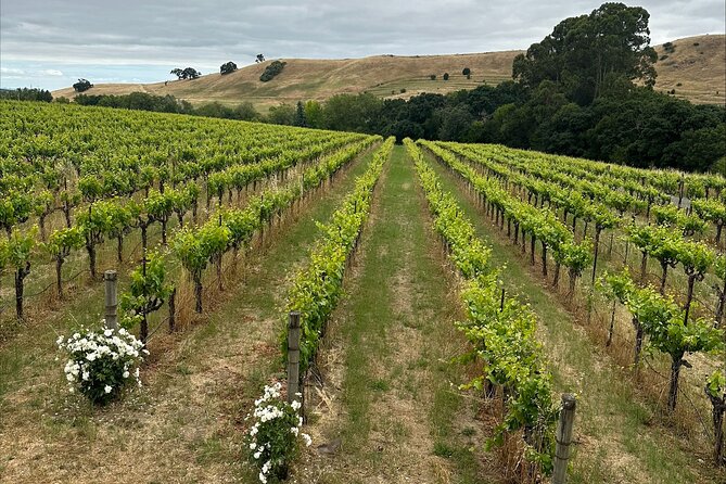 From San Francisco: Napa & Sonoma Valley Wine Tour with Tastings - Two wineries or three, the choice affects the whole day