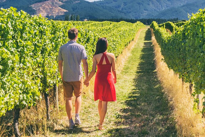 From San Francisco: Napa & Sonoma Valley Wine Tour with Tastings - Comfort, timing, and the limits of a shared coach
