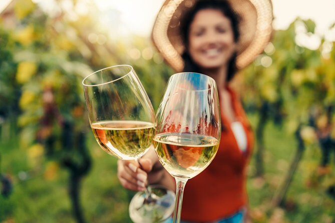 From San Francisco: Napa & Sonoma Valley Wine Tour with Tastings - Napa Valley begins with wine basics and vineyard time