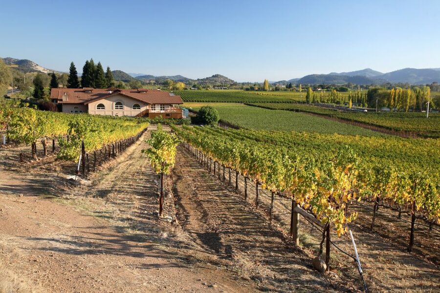 From San Francisco: Napa Valley Private Tour - Key points to know before booking