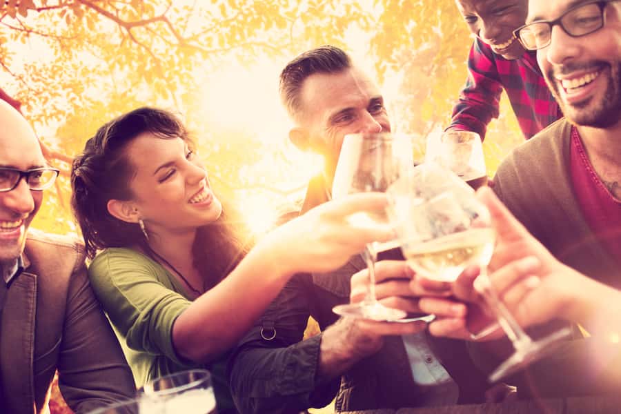 From San Francisco: Napa Valley & Sonoma Private Wine Tour - How to make eight hours work
