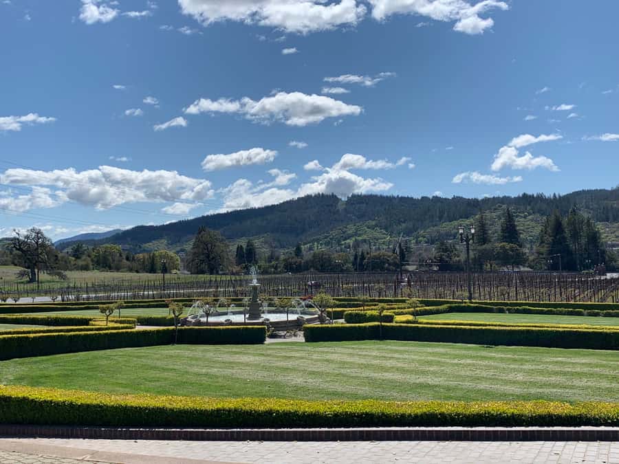 From San Francisco: Napa Valley & Sonoma Private Wine Tour - Planning the route before departure