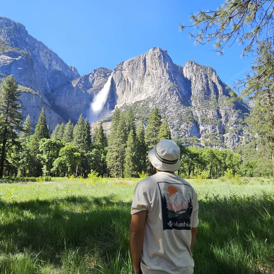 From San Francisco: Yosemite National Park Guided Day Trip - El Capitan and Bridalveil Fall
