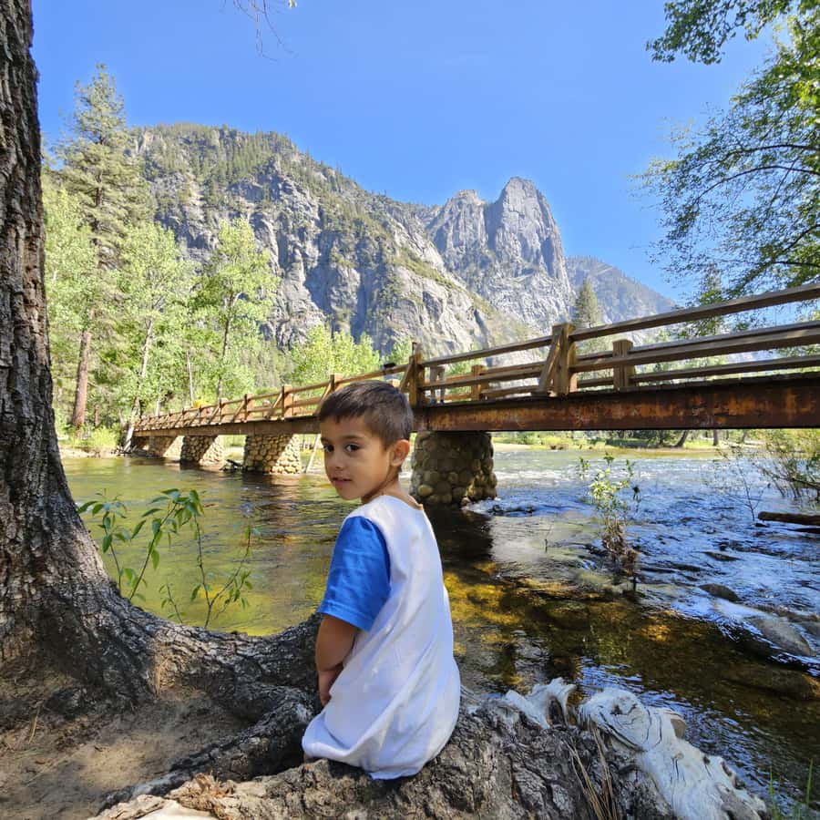 From San Francisco: Yosemite National Park Guided Day Trip - Who will enjoy this Yosemite day trip?