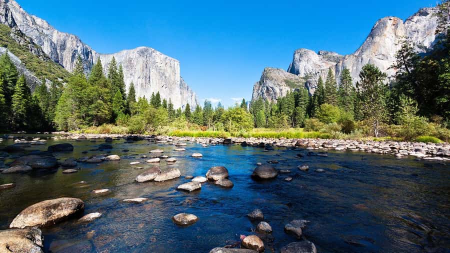 From San Francisco: Yosemite National Park Guided Day Trip - Your first Yosemite view at Tunnel View
