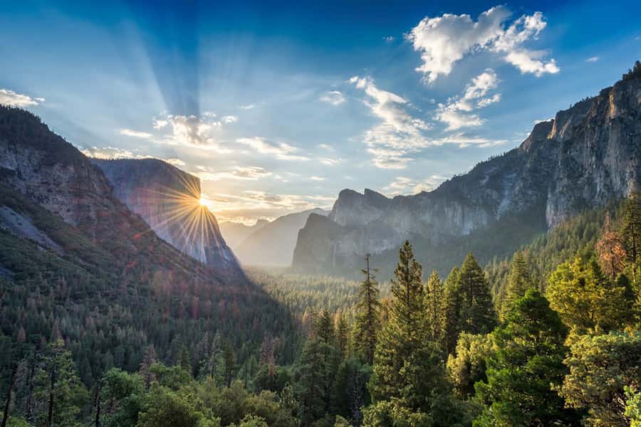 From SF: Yosemite Day Trip with Giant Sequoias Hike & Pickup - Bridalveil Falls brings you close to the water