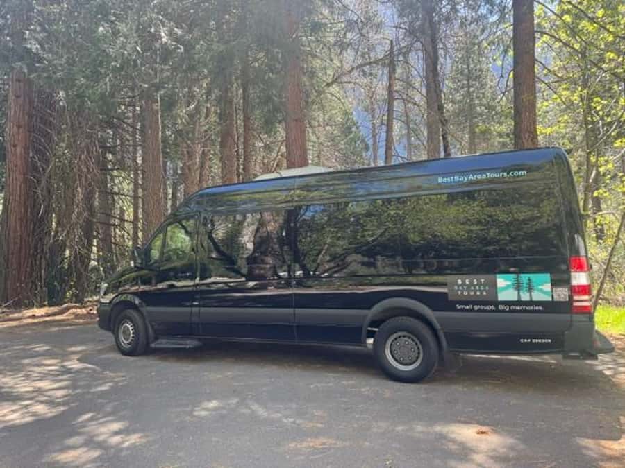 From SF: Yosemite Day Trip with Giant Sequoias Hike & Pickup - The Tuolumne Grove sequoia walk