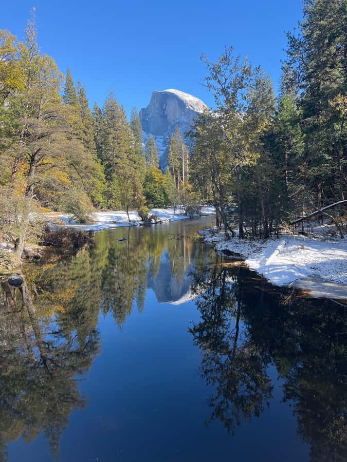 From SF: Yosemite Day Trip with Giant Sequoias Hike & Pickup - Transport, comfort, and the cost of $239