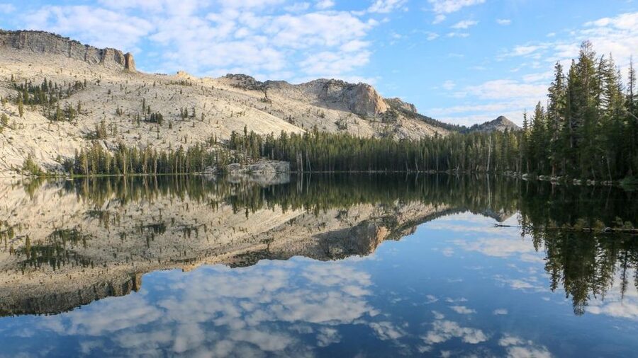 From SFO-Yosemite National Park-Enchanting Full Day Tour - Key points at a glance