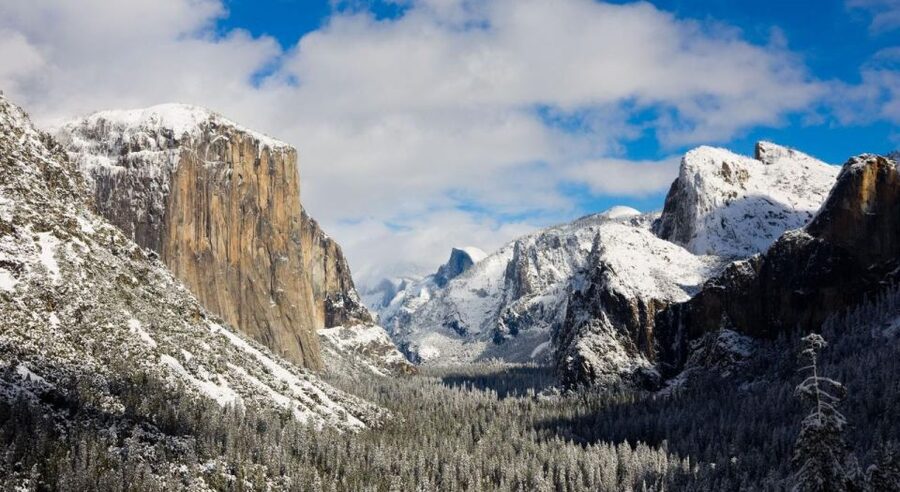 From SFO-Yosemite National Park-Enchanting Full Day Tour - A small vehicle changes the feel of the day