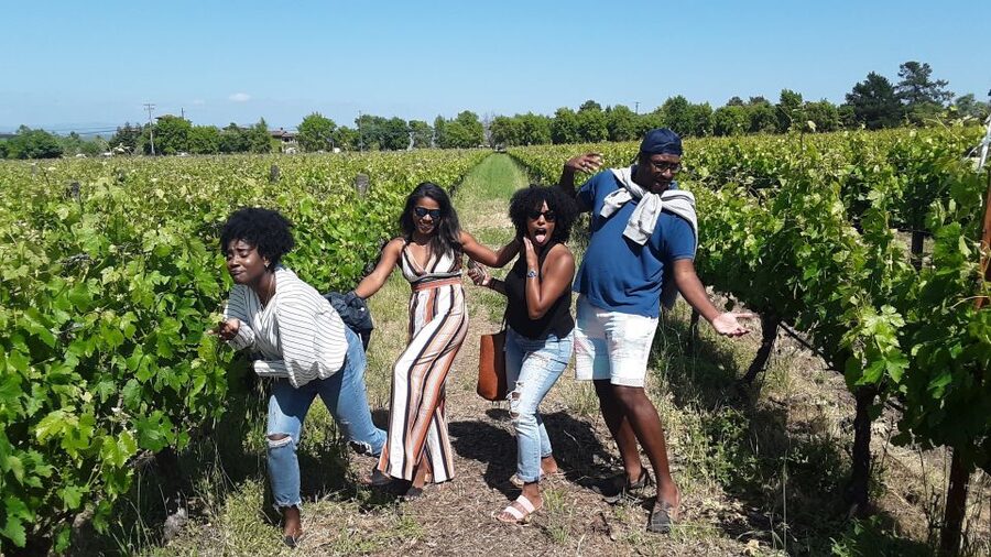 Guided Private Wine Tour to Napa and Sonoma Wine Country - Napa tastings and wine country scenery