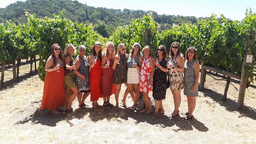 Guided Private Wine Tour to Napa and Sonoma Wine Country - One more Sonoma winery visit