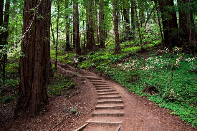 Half-Day Muir Woods & Sausalito Tour with Entry Ticket Included - Key points at a glance
