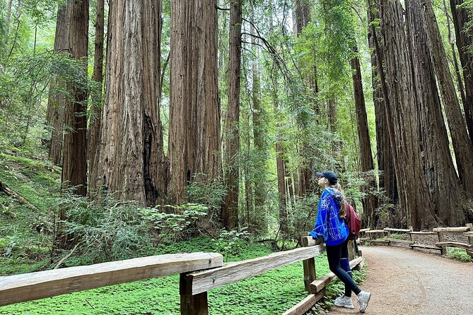 Half-Day Muir Woods & Sausalito Tour with Entry Ticket Included - Meeting the bus at Union Square or Fisherman’s Wharf