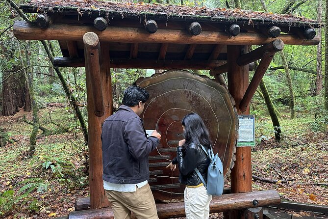 Half-Day Muir Woods & Sausalito Tour with Entry Ticket Included - The redwoods of Muir Woods