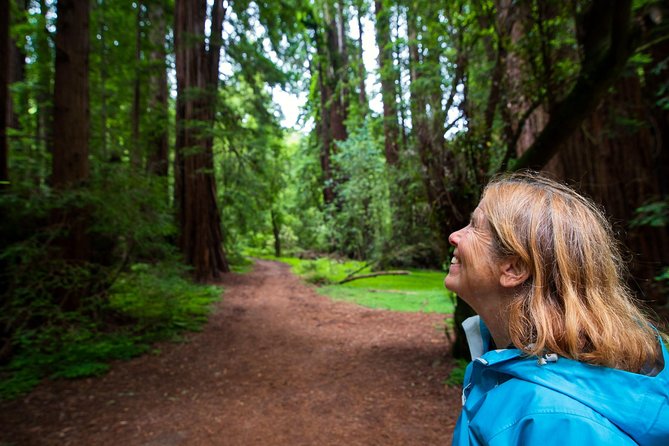 Half-Day Muir Woods & Sausalito Tour with Entry Ticket Included - Sausalito in one hour