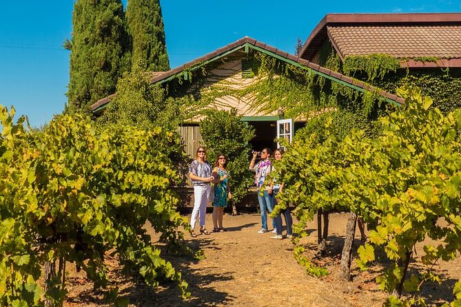 Half-Day Wine Tour Plus Hop-On Hop-Off Bus Pass - Who will get the most from this combination