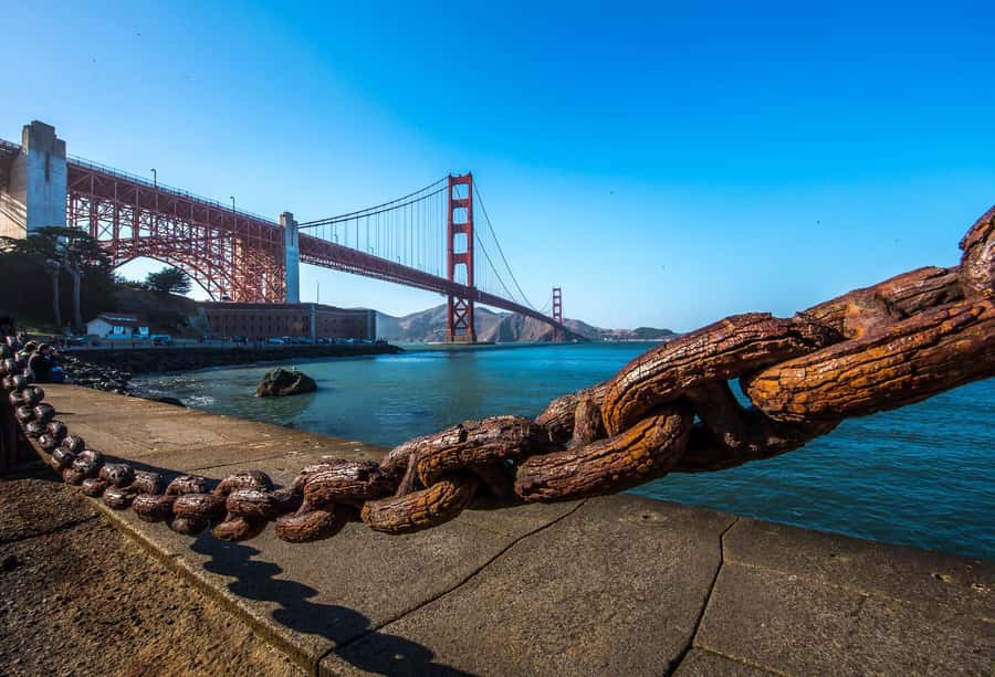 Lombard Leap: Lombard Street, Coit Tower and Chinatown Tour - Rolling out from Little Italy on Columbus Avenue