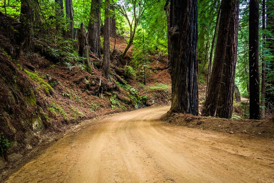 Monterey, Carmel, 17 Mile Dr, Big Sur & Mcway Falls Pvt Tour - Big Sur and the Pacific Coast Highway