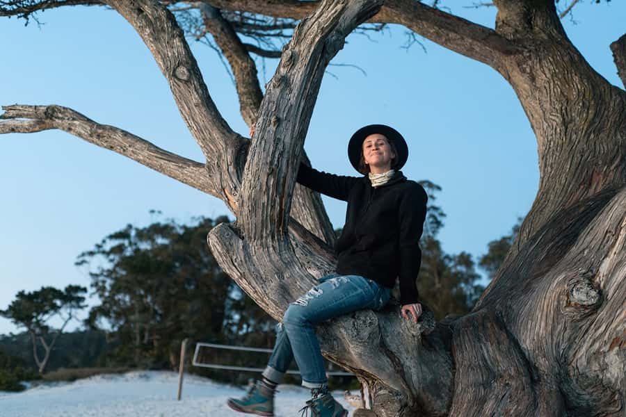 Monterey, Carmel, 17 Mile Dr, Big Sur & Mcway Falls Pvt Tour - Monterey and Cannery Row