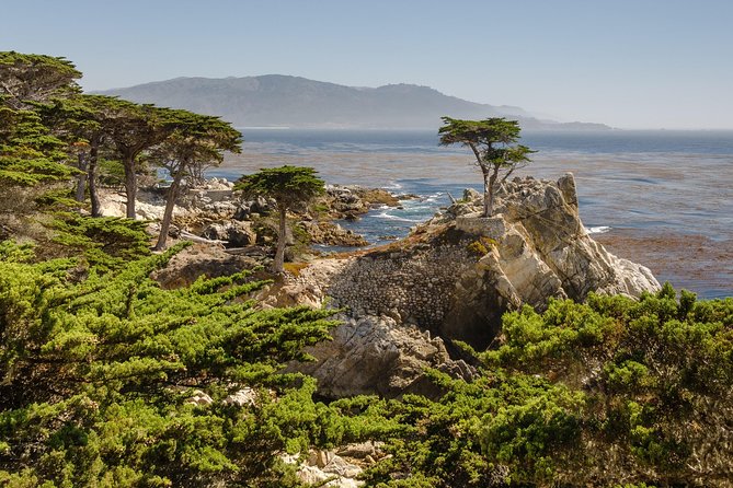 Monterey, Carmel and 17-Mile Drive: Full Day Tour from SF - Davenport: coffee, snacks, and a practical pause