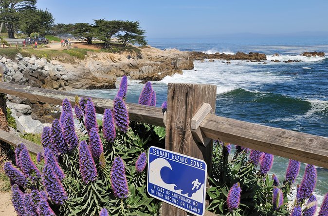 Monterey, Carmel and 17-Mile Drive: Full Day Tour from SF - Carmel Plaza: attractive, polished, and too brief