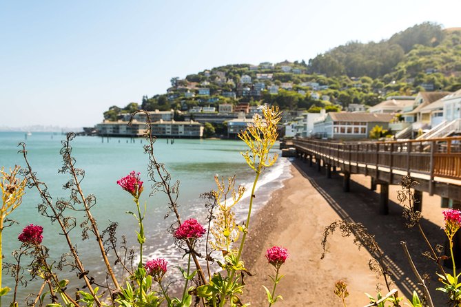 Muir Woods and Sausalito Half Day Tour - A short stop in Sausalito