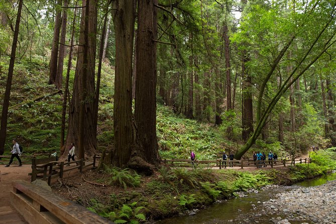 Muir Woods and Sausalito (Return by Bus or Ferry) - Choosing your departure from San Francisco